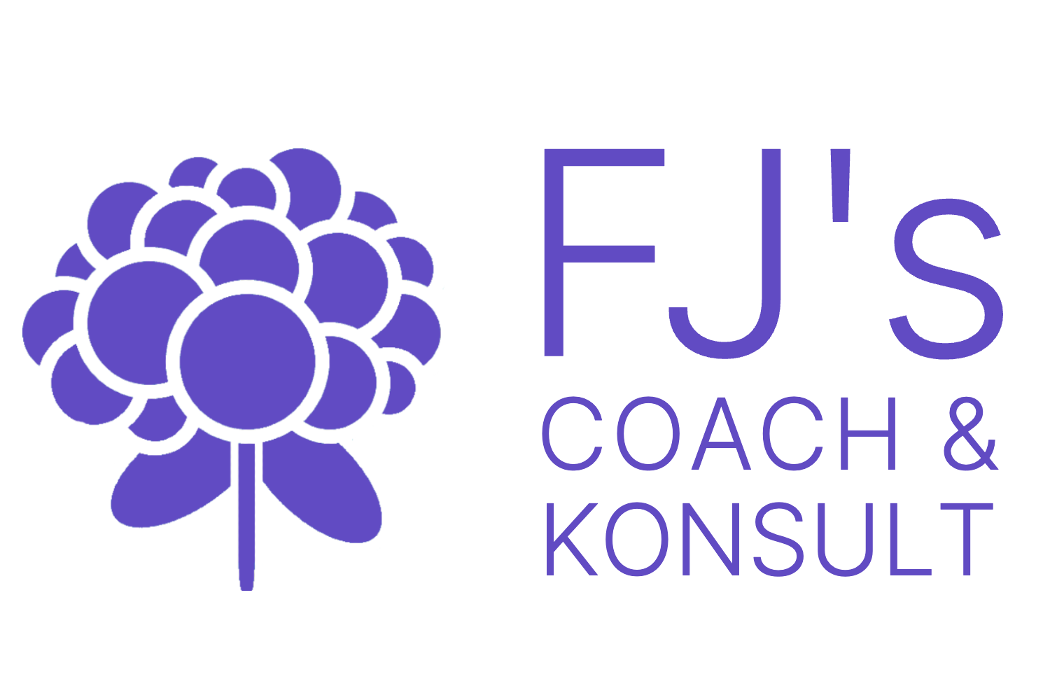 FJ's Coach & Konsult AB